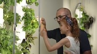 Small Space Hydroponic Systems Image 8