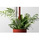 Rainwater Multifunctional Planters Image 1