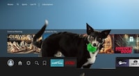 Pet Play-Centric Campaigns Image 1