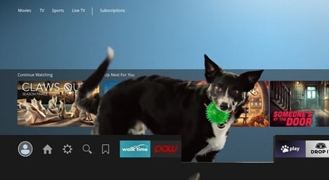 Pet Play-Centric Campaigns