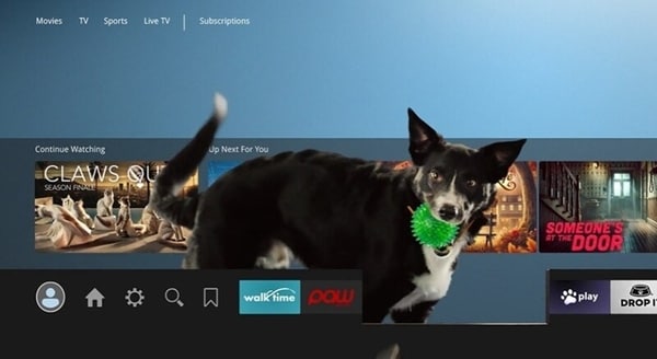 Pet Play-Centric Campaigns