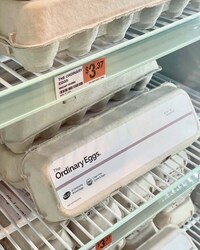 Cost-Conscious Egg Cartons Image 1