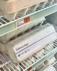 Cost-Conscious Egg Cartons