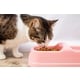 Premium Pet Care Collaborations Image 1