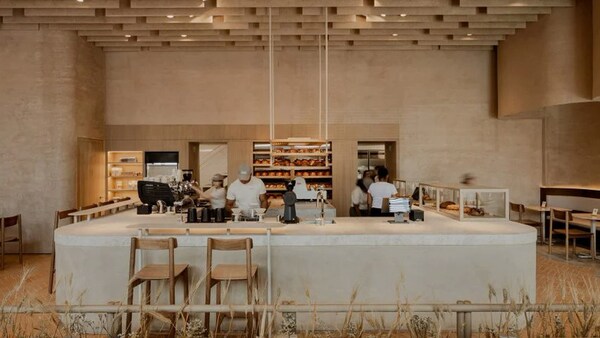 Cozy Naturalistic Panama Bakeries