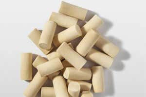 Mycelium-Made Sustainable Earplugs Article Thubnail