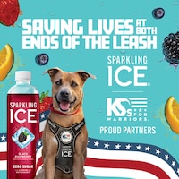 Supportive Co-Branded Initiatives