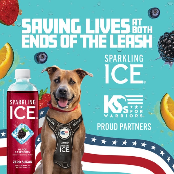Supportive Co-Branded Initiatives