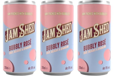 Ready-to-Sip Sparkling Canned Wines
