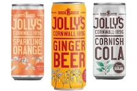 Flavor-Driven Cornish Sodas