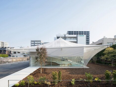 Ethereal Mesh Canopy Cafes