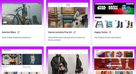 Diverse Shopping Platforms