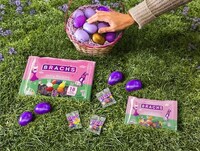 Egg Hunt Hiding Services Image 1