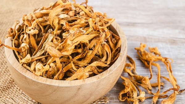 Fungi-Powered Sexual Wellness Supplements