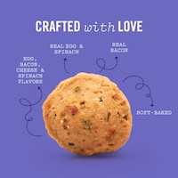 Dog-Friendly Quiche Bites Image 2
