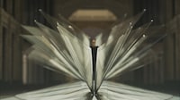 Sensory Landmark Installations