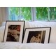Full-Color E-Ink Artwork Displays Image 1
