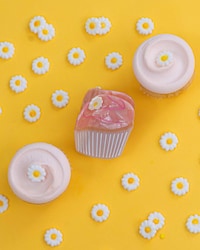 Treat-Inspired Accessories Image 2