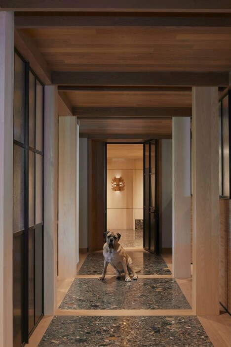 Luxury Artful Veterinary Clinics