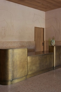 Luxury Artful Veterinary Clinics Image 3