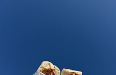 Promotional Burrito-Celebrating Campaigns