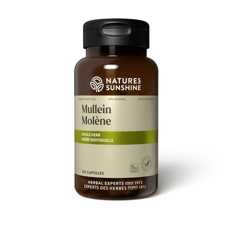 Natural Respiratory Support Supplements