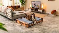 Designer Dual-Sided Dog Beds Image 3
