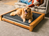 Designer Dual-Sided Dog Beds Image 4