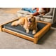 Designer Dual-Sided Dog Beds Image 4