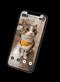Mobile Security Solutions Image 1