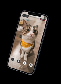 Mobile Security Solutions