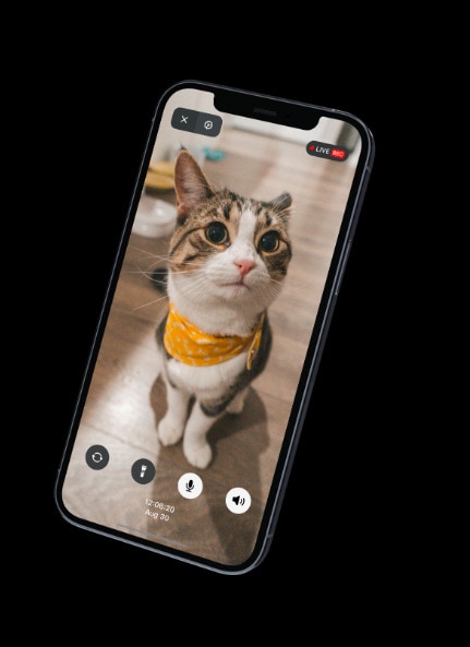 Mobile Security Solutions