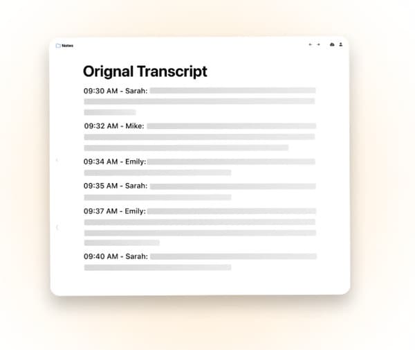 AI Meeting Summaries