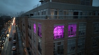 At-Home QSR Taco Meals Image 2