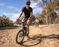 Folding Sport-Ready eBikes Image 4