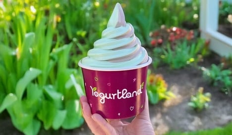Viral Flavor Frozen Yogurts