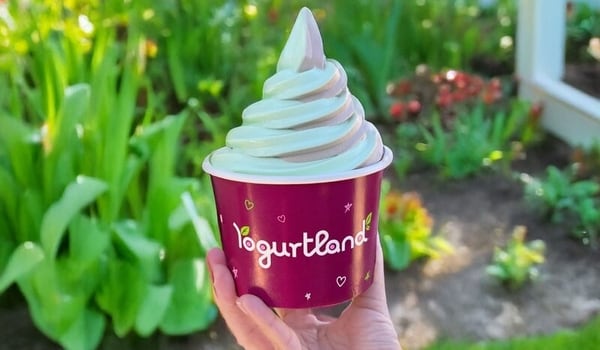 Viral Flavor Frozen Yogurts