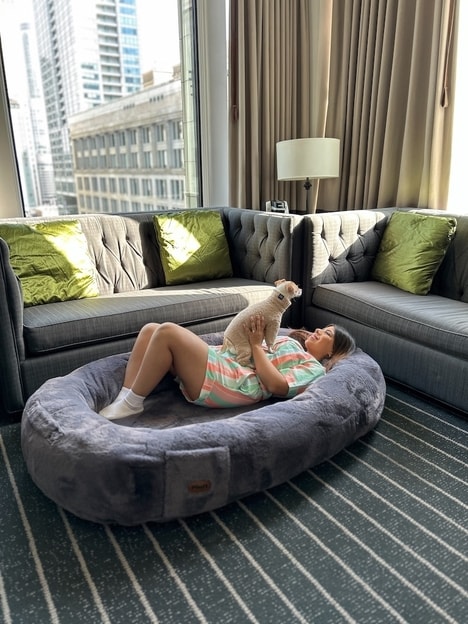 In-Hotel Human Dog Beds