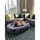 In-Hotel Human Dog Beds Image 1