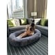 In-Hotel Human Dog Beds Image 2
