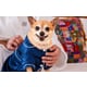 Luxury Pet Hotel Experiences Image 1