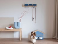 Contemporary Eco-Friendly Pet Accessories Image 1