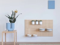 Contemporary Eco-Friendly Pet Accessories Image 3