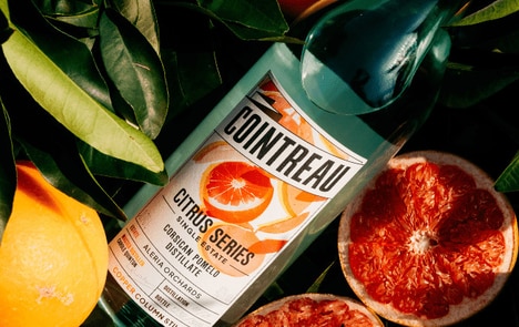 Citrusy Mixologist Distillates