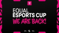 Inclusive MOBA Tournament Series