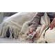 Sustainable Warmth Blankets Image 2