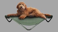 Zero-Gravity Dog Beds