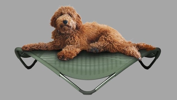 Zero-Gravity Dog Beds
