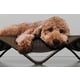 Zero-Gravity Dog Beds Image 2