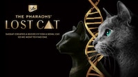 AI-Powered Cat Analyzers